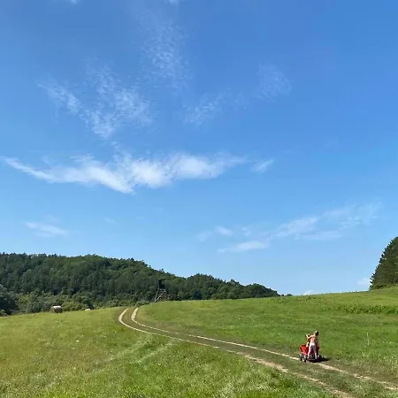 Дом отдыха Elizabeth Benczurfalva *