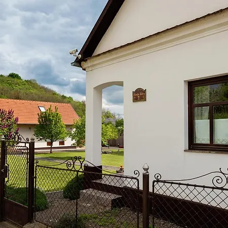 Elizabeth Benczurfalva *