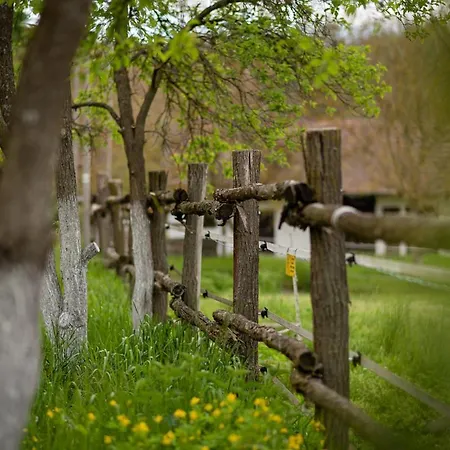 Дом отдыха Elizabeth Benczurfalva