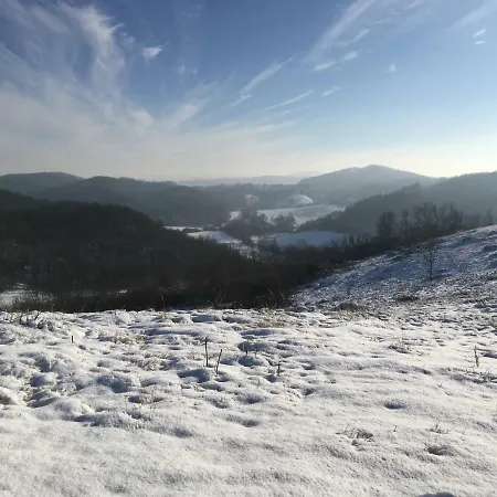 Elizabeth Benczurfalva *